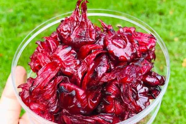 Cách làm bánh atiso thơm béo, thanh mát cho mùa hè cach lam banh atiso 2