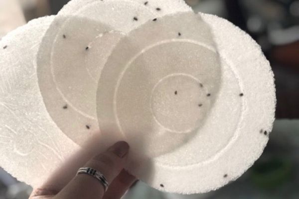 cach lam banh trang giay 1