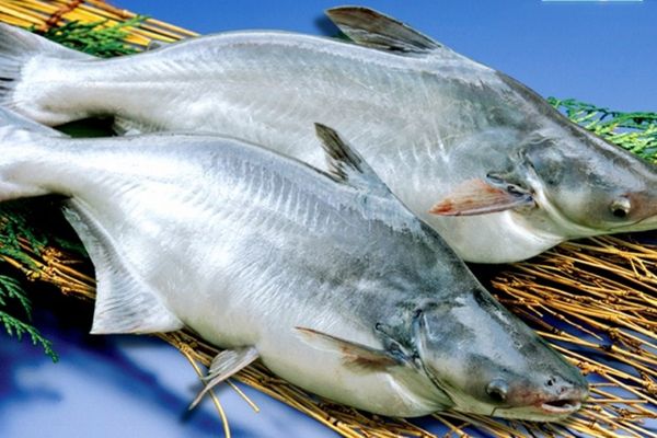 cach lam ca basa kho tieu 2