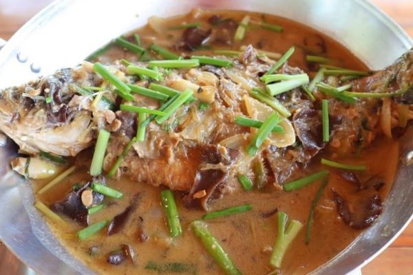 cach lam ca chung tuong 2