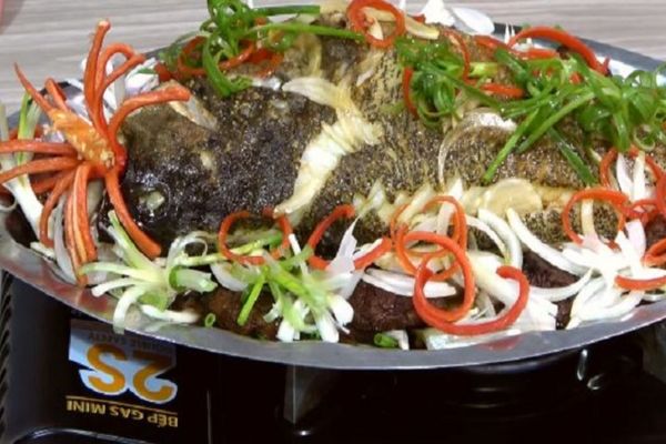 Cách làm cá mú hấp Hồng Kông thơm ngon mà dễ làm cach lam ca mu hap hong kong 2