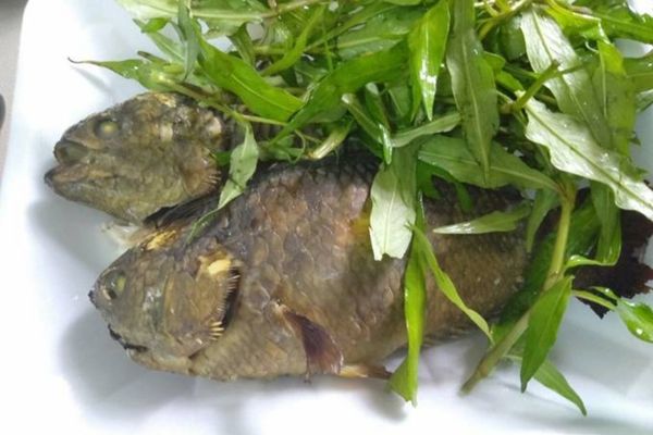 Cách làm cá rô rang muối đậm đà, giòn tan hấp dẫn cach lam ca ro rang muoi 1