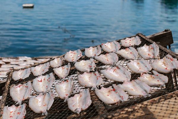 Cách làm cá sấy khô giòn thơm, tiện lợi khi dùng cach lam ca say kho 2