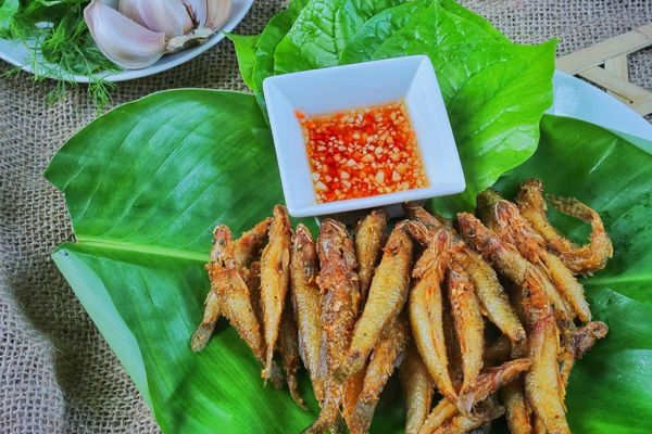 cach lam ca suoi chien gion 3