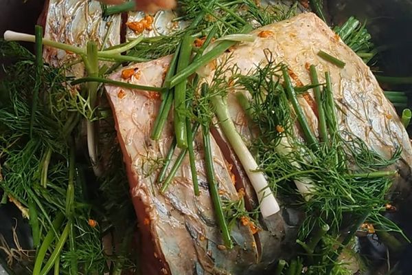 Cách làm cá trắm hấp ngải cứu bổ dưỡng, dễ thực hiện cach lam ca tram hap ngai cuu 3