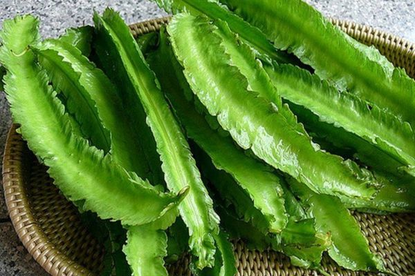 cach lam dau rong xao trung 3