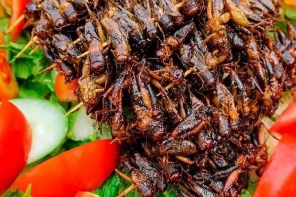 cach lam de chien nuoc mam ngon 1