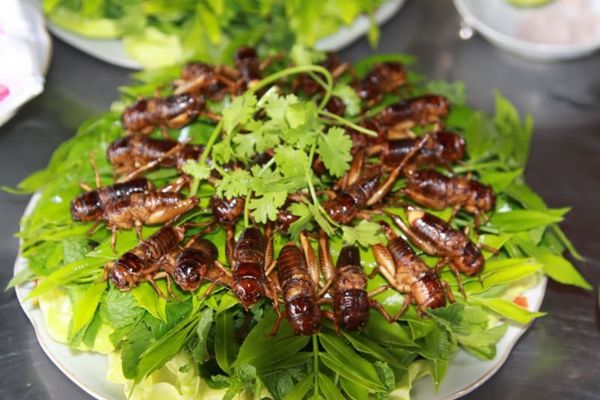 cach lam de chien nuoc mam ngon 2