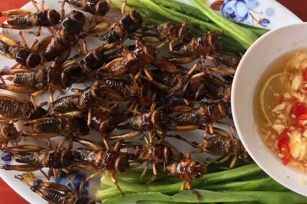 cach lam de chien nuoc mam ngon 3