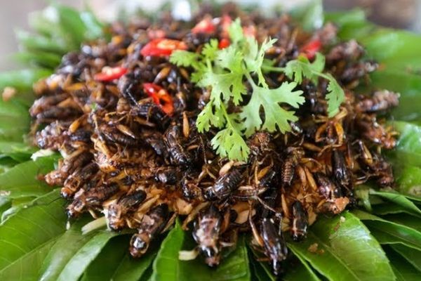 Cách làm dế mèn rang lá chanh giòn tan, đậm đà cach lam de men rang la chanh 1