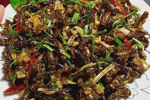 cach lam de men rang la chanh 3