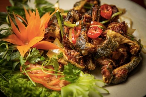 Cách làm ếch chiên nước mắm đơn giản ngon đúng điệu cach lam ech chien nuoc mam 1