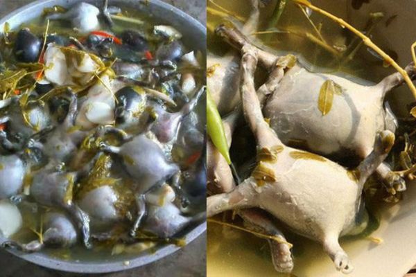 Cách làm ếch òn thơm ngon, dễ làm tại nhà cach lam ech on 1