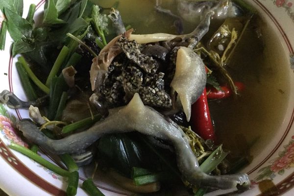 Cách làm ếch òn thơm ngon, dễ làm tại nhà cach lam ech on 2