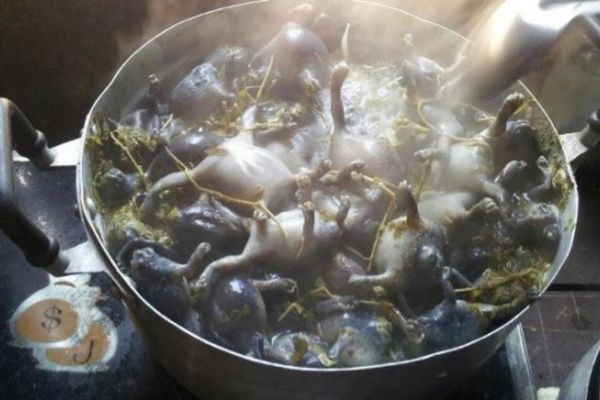 Cách làm ếch òn thơm ngon, dễ làm tại nhà cach lam ech on 3