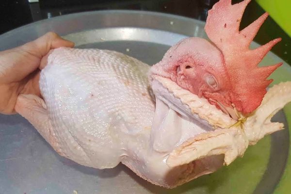 Cách làm gà cánh tiên đơn giản ai cũng làm được cach lam ga canh tien 1