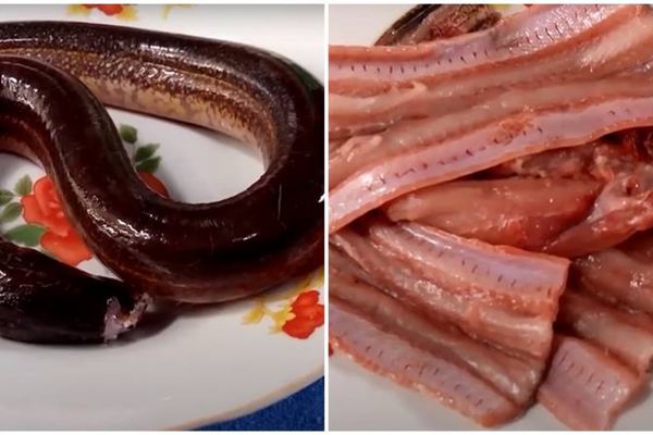 Cách làm lươn khô giòn thơm bảo quản được lâu ngày cach lam luon kho 2