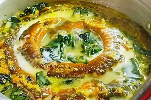 Cách làm lươn um lá nhàu chữa bệnh dân gian bổ dưỡng cach lam luon um la nhau 1