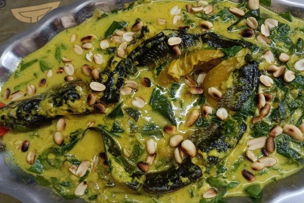 Cách làm lươn um lá nhàu chữa bệnh dân gian bổ dưỡng cach lam luon um la nhau 3