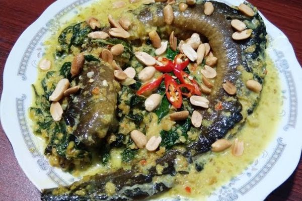 Cách làm lươn um nước cốt dừa béo ngậy thơm lừng cach lam luon um nuoc cot dua 1