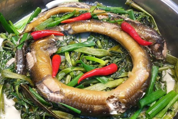 Cách làm lươn um nước cốt dừa béo ngậy thơm lừng cach lam luon um nuoc cot dua 3