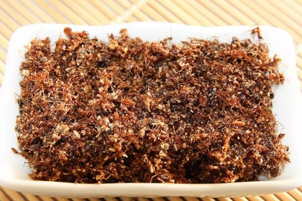 cach lam muoi kien vang 2