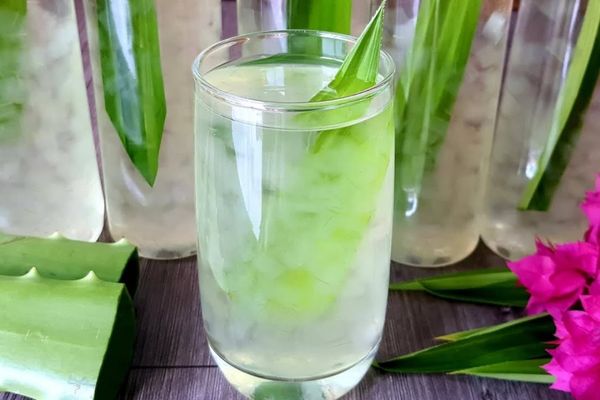 Cách làm nha đam để uống đơn giản ai cũng làm được cach lam nha dam de uong 1